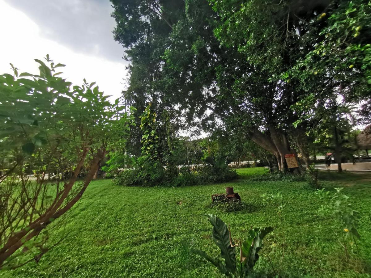 Hotel Doralba Inn Chichen Εξωτερικό φωτογραφία